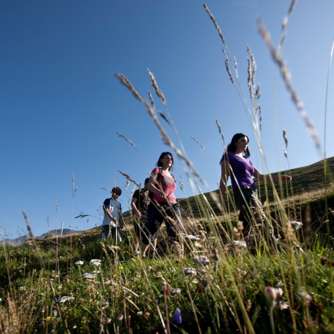 Warzenbeisserweg in Engadin Scuol Zernez