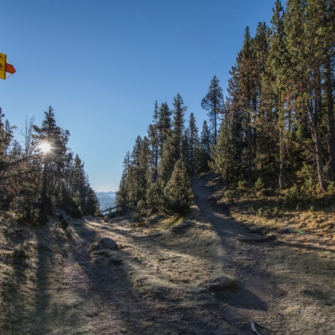 Wanderungen auf dem Themenweg Champlönch