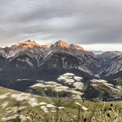 Frühlingswandern im Unterengadin.