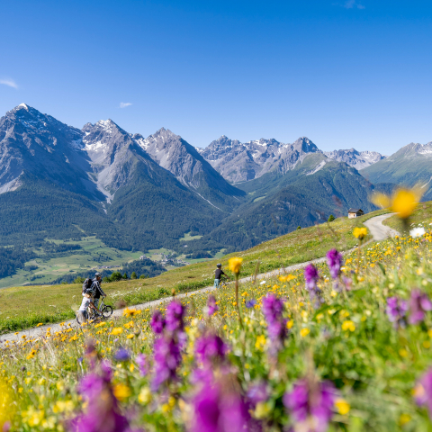 Familienferien in Engadin Scuol Zernez: Mit dem Trottinett hinab ins Tal. Bild: Dominik Täuber.