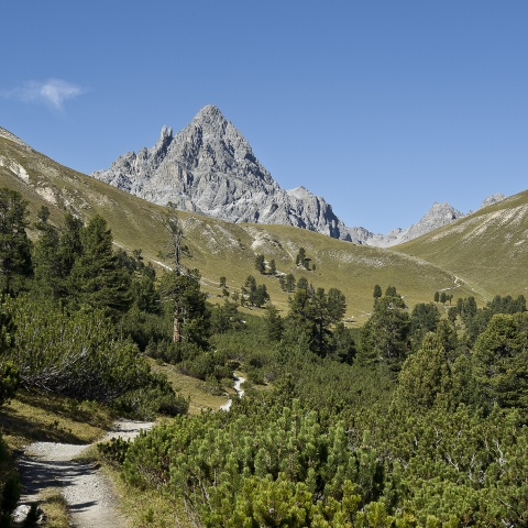 Wandern im Val Mingèr, Schweizerischer Nationalpark