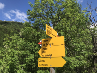 Wanderung Zernez – Pradea – Brail