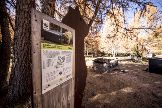 WWF Bärenthemenweg in S-charl – Senda da l'uors – Engadin Scuol Zernez – Andrea Badrutt WWF Bärenthemenweg in S-charl – Senda da l'uors – Engadin Scuol Zernez – Andrea Badrutt