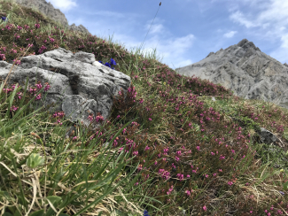 Wanderung Richtung Ofenpass – Martina Stadler Wanderung Richtung Ofenpass – Martina Stadler