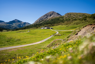 Arrivée à l'alpage d'Astras-Tamangur.