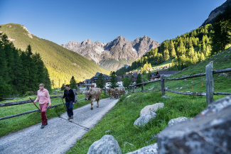 On the way to Alp Astras-Tamangur.