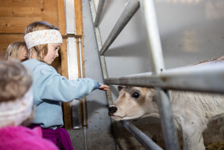 Where does the milk come from? In a mountain valley like the Engadine, agriculture can be experienced from an early age.