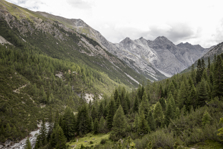 Die Chamanna Cluozza befindet sich mitten im Schweizer Nationalpark. Foto: Andrea Badrutt Die Chamanna Cluozza befindet sich mitten im Schweizer Nationalpark.