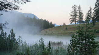 Einer von Rolfs Lieblingsorten: Der Lai Nair im Unterengadin.