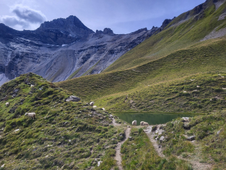 Stammerseen, Samnaun Stammerseen, Samnaun