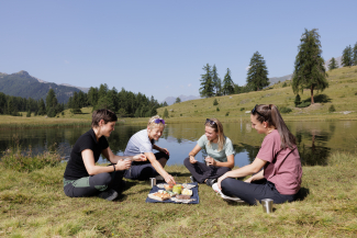 Gesundheitswälder im Engadin, Lai Nair
