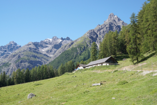Alp Laisch im Unterengadin Alp Laisch im Unterengadin