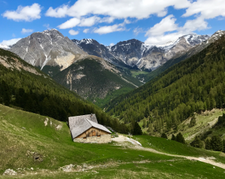 Alp Tavrü in Engadin Scuol Zernez Alp Tavrü in Engadin Scuol Zernez