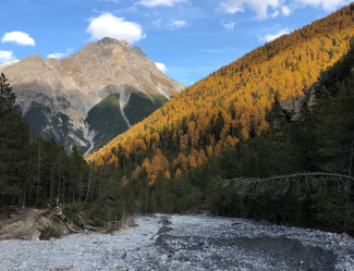 Das Val Mingèr im Unterengadin Das Val Mingèr im Unterengadin