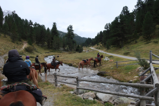 Pferdetrekking durch einen Fluss Pferdetrekking durch einen Fluss