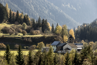 Heckenlandschaft in San Niclà, Tschlin in der Ferienregion Engadin Scuol Zernez Heckenlandschaft in San Niclà, Tschlin in der Ferienregion Engadin Scuol Zernez