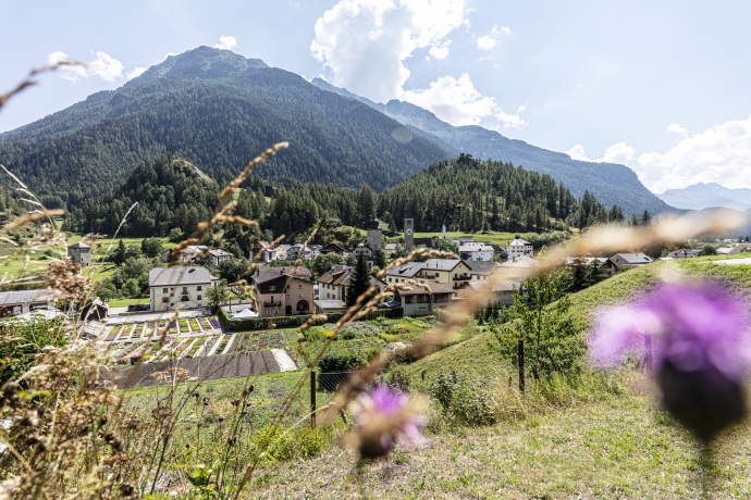Das Dorf Susch, Unterengadin, im Sommer Das Dorf Susch, Unterengadin, im Sommer