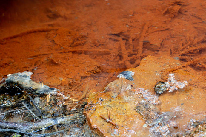 Mineralwasser der Fuschna-Quelle im Engadin © Dominik Täuber Mineralwasser der Fuschna-Quelle im Engadin © Dominik Täuber