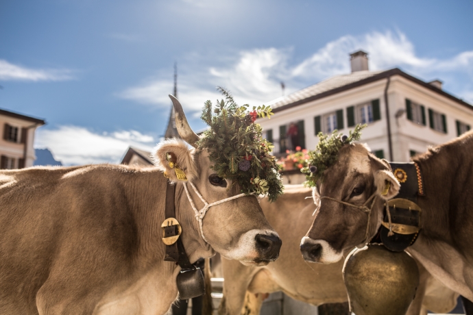Ferien im Engadin | Engadin Scuol Zernez