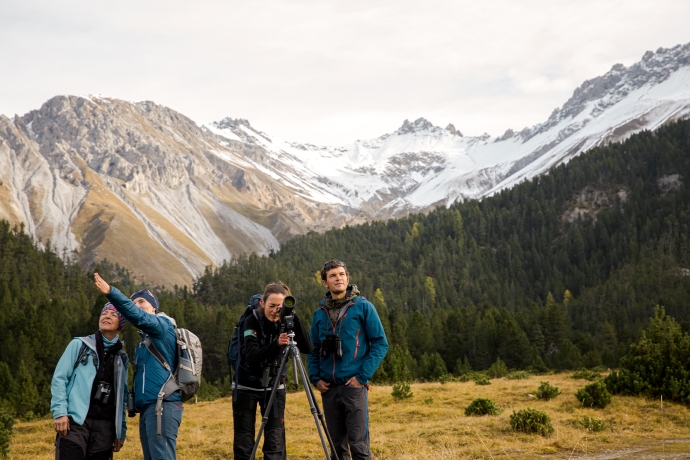 Wildtierbeobachtung im Schweizerischen Nationalpark, Engadin Wildtierbeobachtung im Schweizerischen Nationalpark, Engadin