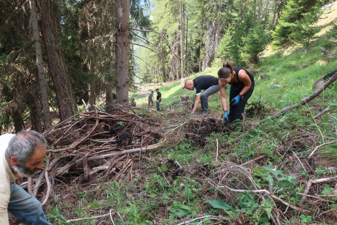 NaturAktiv-Einsatz in Guarda für mehr Biodiversität © TESSVM (Yvonne Schuler) NaturAktiv-Einsatz in Guarda für mehr Biodiversität © TESSVM (Yvonne Schuler)
