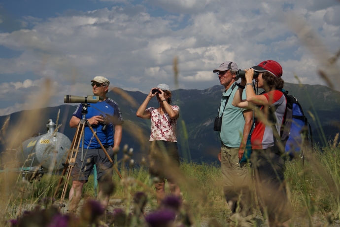 Vogelexkursion im Engadin der Fundaziun Pro Terra Engiadina