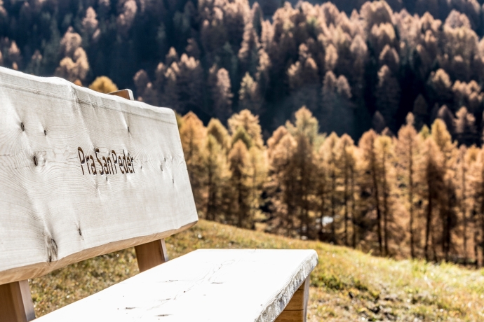 Verschnaufpause auf dem Hängebrückenweg