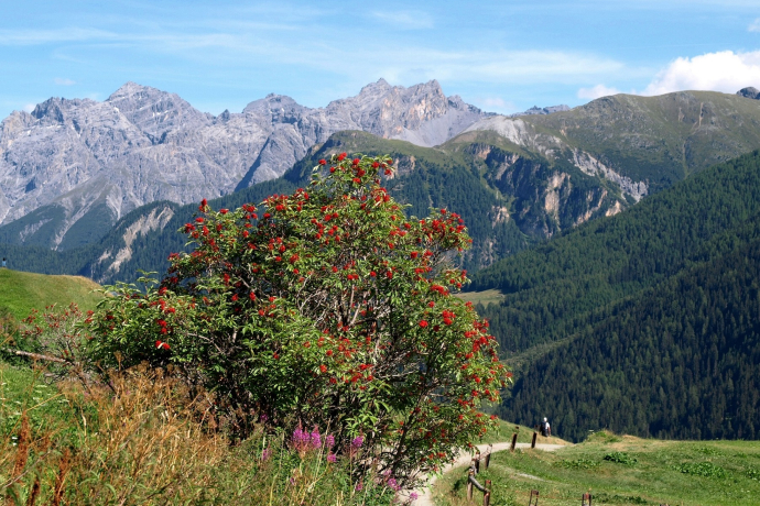 Unterwegs im Unterengadin im Sommer