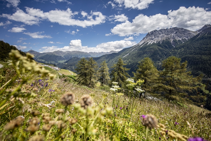 Medienbild Nachhaltigkeit