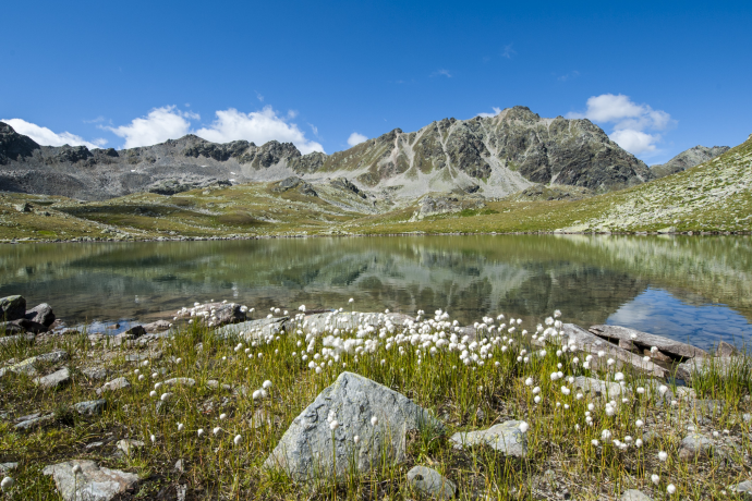 Macunseen im Schweizerischen Nationalpark im Engadin Macunseen im Schweizerischen Nationalpark im Engadin