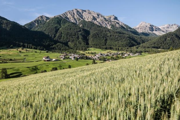 Mit dem Bike auf der Talrunde, mit Blick ins Val Müstair. Mit dem Bike auf der Talrunde, mit Blick ins Val Müstair.