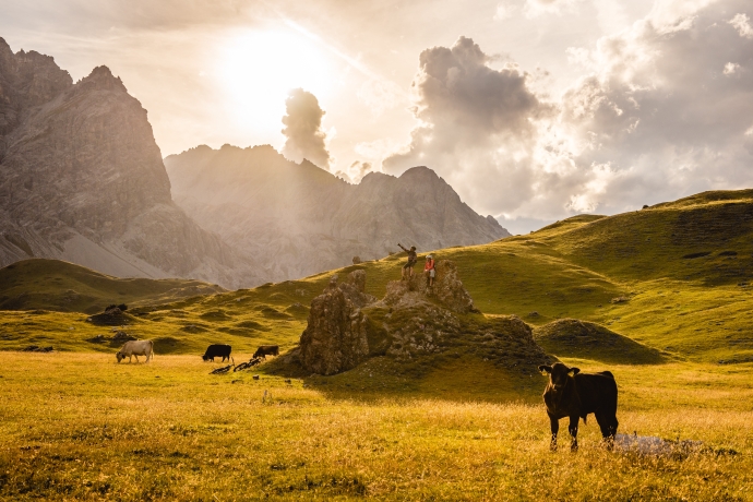 Freilaufende Pferde im Val Mora, auf der dritten Etappe der BIke-Tour.