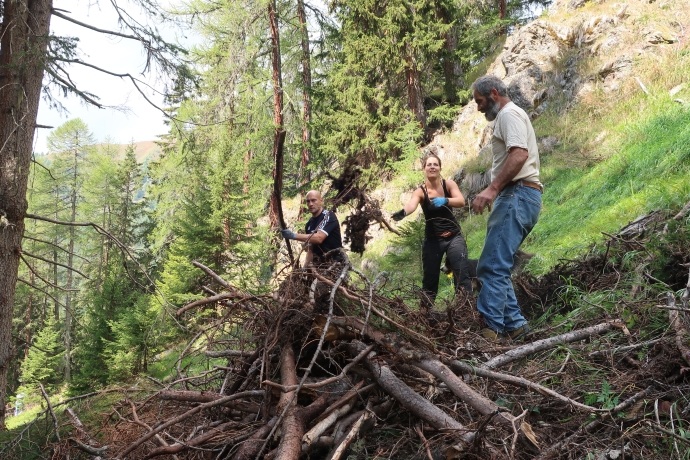 Arbeitseinsatz im Unterengadin – Biodiversität – Ferienregion Engadin Scuol Zernez