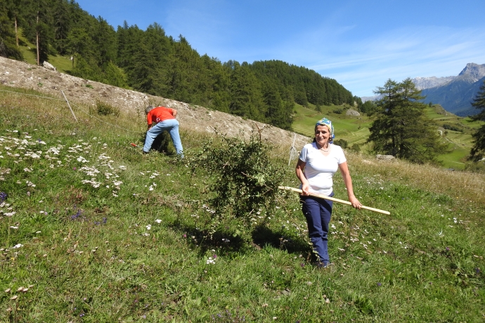 Einsatz für den Erhalt der schönen Naturwerte des Unterengadins. Einsatz für den Erhalt der schönen Naturwerte des Unterengadins.