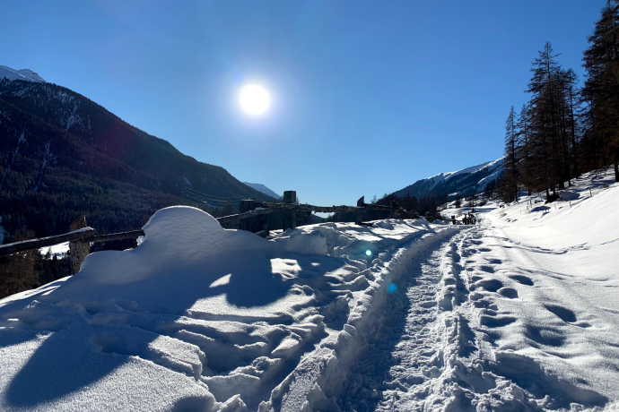 Schneeschuhtour mit Reto Lehner im Engadin Schneeschuhtour mit Reto Lehner im Engadin