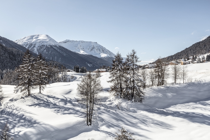 Engadiner Natur im Winter