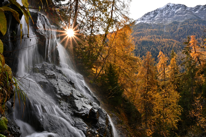 Gewinner des Herbst-Fotowettbewerb Gewinner des Herbst-Fotowettbewerb