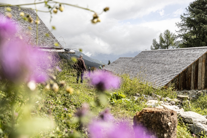Natureinsatz mit NatürActiva – Ferien im Zeichen der Natur – Engadin Scuol Zernez