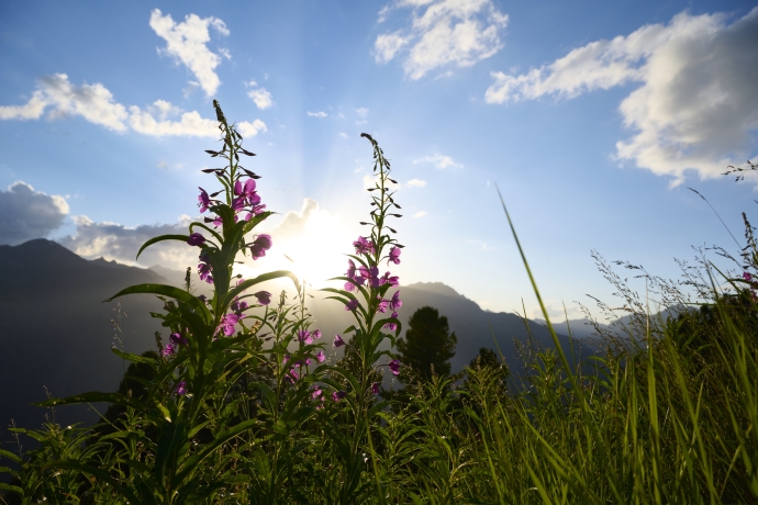 Wandern im Schweizerischen Nationalpark © Stefan Schlumpf Wandern im Schweizerischen Nationalpark