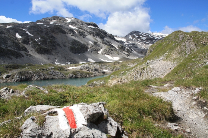 lai_da_rims_claudia_alini lai_da_rims_claudia_alini