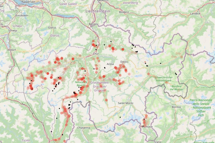 Grossraubtierbeobachtung