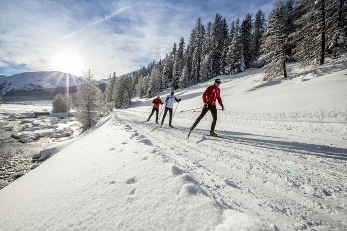 Dem Langlauf auf der Spur