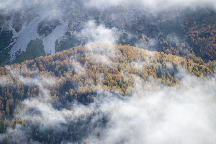 Wanderung Bergbierfestival 2022