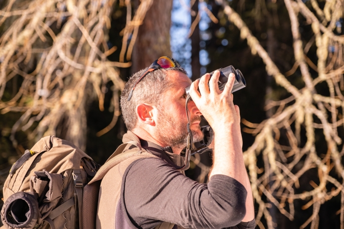 Auf der Suche nach Wildtieren.