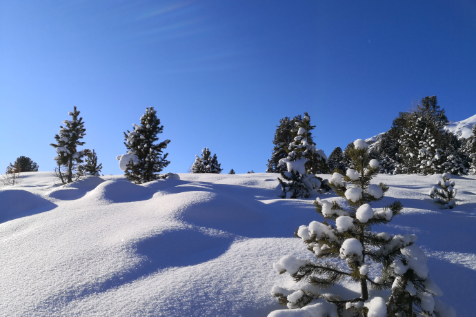 Verschneite Winterlandschaft