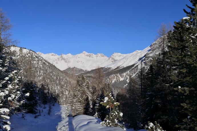 Winterzauber am Ofenpass ©Sophia Bartolomei Winterzauber am Ofenpass