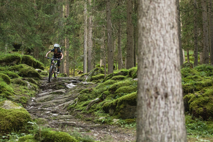 Unterwegs auf verwurzelten Trails Unterwegs auf verwurzelten Trails