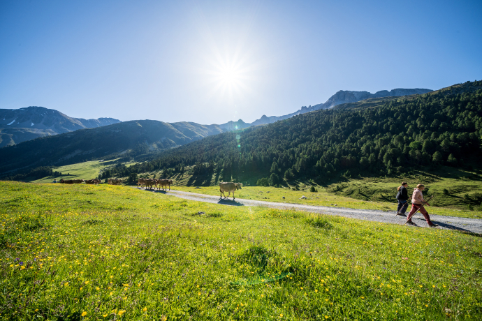Im Val S-charl auf Höhe des God da Tamangur. Bild: Dominik Täuber.
