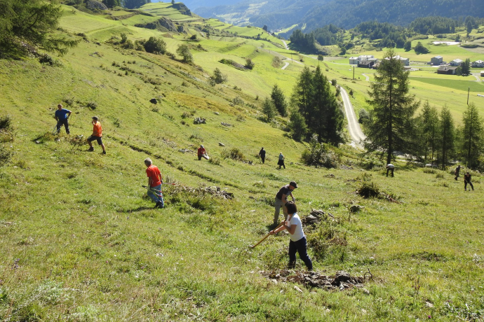 NatürActiva - Arbeitseinsätze in der Natur.