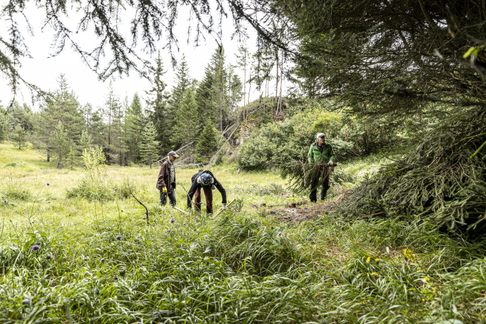 NatürActiva - Arbeitseinsätze in der Natur.